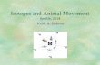 Isotopes and Animal Movement · 2014. 10. 9. · Isotopes and Animal Movement Seville, 2014 Keith A. Hobson . Primary Goals of Migration Research Evolution and Ecology. Conservation