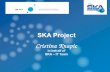 SKA Project - ftp.esrf.frftp.esrf.fr/.../2015_may_solaris/Cristina_Knapic_The_SKA_project.pdf · SKA Pulsar Search input is approximately 1PetaBytes on each cycle of observation which