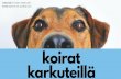 materiaali © Viitottu Rakkaus® kuvat papunet.net, pixabay · 2018. 1. 12. · Seuraavissa tehtävissä kysytään mistä karanneet koirat tarinassa löytyvät. Ota vastaus-sivu