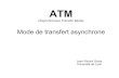 ATMtran.pat.free.fr/Exam_m2/RGH/ATM.pdf · Introduction Les normes ATM : mode de commutation par paquets reposant sur des circuits virtuels (canaux virtuels). Ces normes définissent