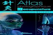 Atlas photographique d'acupunctureekladata.com/.../Q072_Brochure_atlas_FR.pdfDr Antoine Bereder Atlas photographique d’acupuncture L a motivation principale, pour créer cet Atlas