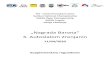 „Nagrada Banata“ 3. Autoslalom Zrenjaninsakss.org.rs/files2020/Pravilnik-Autoslalom Zrenjanin-ENG v1.2.pdf · Co-organizors: City of Zrenjanin and AMK „Petrovgrad“ 2.2. Competition