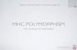 MHC POLYMORPHISM - CBS · 2012. 4. 30. · Technical University of Denmark - DTU Department of systems biology CENTER FOR BIOLOGICAL SEQUENCE ANALYSIS Immunological Bioinformatics,