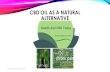 CBD OIL AS A NATURAL ALTERNATIVE - Health And CBD Today · 2018. 9. 16. · 99% pure CBD. This pure crystalline contains only the CBD chemical compound, and is CBD in its most concentrated
