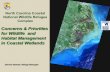 Concerns & Priorities for Wildlife and Habitat Management in ......Wetlands, 1981. Proceedings of POCOSINS: A Conference on Alternative Uses of the Coastal Plain Freshwater Wetlands