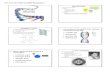 12.1 and 12.2 DNA and DNA Replication - OAK PARK USD ... 12.1 and 12.2 DNA and DNA Replication DNA &
