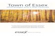 2020 Town of Essex Budget · 2020. 2. 19. · The Town of Essex will receive . $4,008,100. in 2020; a . $147,300 reduction. from the 2019 OMPF of $4,155,400. 2020 Operating / Capital