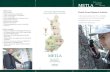 METLA - COnnecting REpositoriesMetla-Finnish Forest ResearchInstituteMETLA'S VISION structure Is toposition Metlaas themostinfluentialandeffective nationaland internationalinstitutionwith