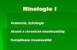 Anatomie, fyziologieAnatomie, fyziologie Akutní a chronické rinosinusitidy Komplikace rinosinusitid Anatomie zevní nos- nosní kůstky, laterální a alární chrupavky embryologie!-