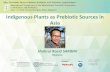 Indigenous Plants as Prebiotic Sources in Asia4cau4jsaler1zglkq3wnmje1-wpengine.netdna-ssl.com/wp... · 2019. 7. 30. · Shahrul Razid SARBINI Malaysia. Indigenous Plants as Prebiotic