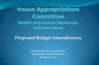 Proposed Budget Amendments - Virginiahac.virginia.gov/.../files/01-16-12/DSS_Proposed_Budget_Amendments.pdfJan 16, 2012  · Proposed Budget Amendments (Additional Funding Provided)