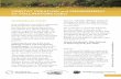 HABITAT CREATION and MANAGEMENT for POLLINATORS leaflet · 2020. 11. 17. · HABITAT CREATION FOR POLLINATORS Farmers can help bees by creating high quality habitats containing pollen