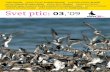 Svet ptic · 2020. 2. 6. · »Krila« brez nas ¬ SVET PTIC: revija Društva za opazovanje in proučevanje ptic Slovenije, letnik ... Leta 1983 je bil v Acrocephalusu objavljen Prispevek