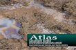 sanačných metód › files › sekcia-geologie-prirodnych...5 Predhovor P rojekt Atlas sanačných metód environmentálnych záťaží vznikol na podnet Ministerstva životného