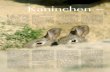 Kaninchen – Quo vadis - Vetmeduni...Wildkunde Pirsch 2/2009 wurden im Jagdjahr 1974/75 noch 13,3 Millionen Kanin-chen erlegt, 1983 waren es 6,4 Millionen, 1998 nur mehr 3,2 Millionen.