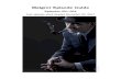 Maigret Episode Guide - INAForma.iasfbo.inaf.it:7007/~mauro/TV/PDF/ENDED/MAIGRET.pdfMaigret Episode Guide and own captured, leaving only one, plus the unknown leader. Investigation