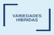 Variedades Híbridas - UNCagro.unc.edu.ar/~mejogeve/Variedades Sinteticas EPG 2018.pdfVariedades de Variedades Variedades Polinización libre Sintéticas Híbridas VARIEDADES SINTÉTICAS