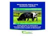 Moorepark Dairy Levy Research Update - Teagasc · 2021. 1. 8. · Moorepark Dairy Levy Update Plastic lined Clay lined Conventional Self-feed Easi-feed Self-feed Easi-feed shed OWP
