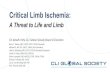 Critical Limb Ischemia - Vascular Disease Management€¦ · Critical Limb Ischemia: On behalf of the CLI Global Society Board of Directors A Threat to Life and Limb Barry T. Katzen,