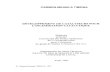 DÉVELOPPEMENT DE CATALYSEURS POUR LTNCINÉRATION … · 2004. 11. 29. · CARMEN-MIHAELA TlBlRNA DÉVELOPPEMENT DE CATALYSEURS POUR LTNCINÉRATION CATALYTIQUE Mémoire présenté