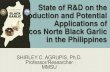 Production and Potential Applications of Ilocos Norte ... › documents › presentations › Agribusiness › Ve… · Ilocos Norte Black Garlic in the Philippines SHIRLEY C. AGRUPIS,