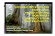 EXPLORATORYSTUDYFOR BIOETHANOL PRODUCTIONAND BIOREFINERY COPRODUCTSFROM WASTEEUCALIPTO.biocombustibles/taller4_Soto... · 2009. 12. 15. · EXPLORATORYSTUDYFOR BIOETHANOL PRODUCTIONAND