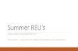 Summer REU’s - Lamar University · Research Experiences for Undergraduates (REU) REU solic itatio n Students for an REU Site Search for an REU Site and Infnrmatinn and Fruinepring