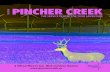 658 - Pincher Creek Guide.small.pdfSafety & Emergencies The 911emergency system is in place in Pincher Creek to assist with police, medical or fire emergencies. The local RCMPdetachment