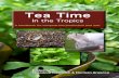 Tea Time · 2020. 8. 3. · A handbook for compost tea production and use. Tea Time In the Tropics A handbook for compost tea production and use. Editors Theodore Radovich, PhD Assistant