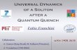 Universal Dynamics of a Soliton after a Quantum Quenchffranchi/presentations... · Universal Dynamics of a Soliton after a Quantum Quench Collaborators: A. Gromov (Stony Brook), M.