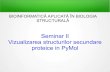 Seminar II Vizualizarea structurilor secundare proteice in PyMolmarius.mihasan/teaching/pdfs/... · 2020. 3. 30. · Programul PyMol -Program open-sourcepentru vizualizarea moleculelor;-Creat