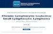 NCCN Clinical Practice Guidelines in Oncology (NCCN Guidelines … · 2020. 4. 10. · NCCN Chronic Lymphocytic Leukemia/Small Lymphocytic Lymphoma Panel Members Summary of the Guidelines
