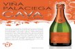 VIÑA PALACIEGA CAVA - Tri-Vin › ... › 11 › Vina-Palaciega-Cava...16ss.pdfCAVA VIÑA PALACIEGA Produced using the traditional Cava method, this wine represents authentic Spanish