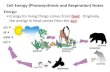 Cell Energy Powerpoint · 2013. 12. 5. · Cell Energy (Photosynthesis and Respiration) Notes Energy: •Energy for living things comes from food. Originally, the energy in food comes