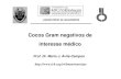Cocos Gram Negativos - ICB-USPbmm/mariojac/arquivos/Aulas/Cocos_Gram... · 2015. 10. 5. · Gênero Neisseria - Neisseria gonorrhoea - Neisseria meningitidis Família Neisseriaceae