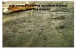Le Incisioni Rupestri di Plemo - ARCHEOLOGIA GALLIA ......Premessa La presenza di incisioni rupestri nella zona di Plemo era già nota fin dagli anni ’60, ma l'area non era mai stata
