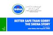 BETTER SAFE THAN SORRY THE SHENA STORY Packs/Outreach Programme...Brunei A Safe Place to Work and Live Four (4) National HSE themes have been set for Brunei industry, developed from