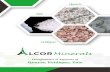 Alcor Minerals Brochure · CORE WOu . Title: Alcor Minerals Brochure.cdr Created Date: 11/16/2020 7:23:37 PM