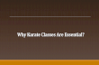 Why Karate Classes Are Essential?