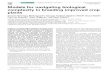 Models for navigating biological complexity in breeding ...nitro.biosci.arizona.edu/zdownload/papers/TPS-06.pdfModels for navigating biological complexity in breeding improved crop