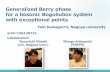 Generalized Berry phase for a bosonic Bogoliubov system ...richard/Files/Kawaguchi.pdfMathematical approach for topological physics (II)Mathematical approach for topological physics