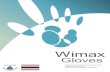 Gloves 2020. 11. 27.آ  Wimax Gloves Characteristics Inspection Level Acceptable Quality Level Reference