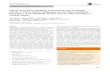 Effects of CYP3A4 Inhibitors Ketoconazole and Verapamil and the … · 2017. 4. 10. · Methods R406 stability was determined using human hepatic microsomes. The CYP450 isoforms responsible