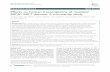 RESEARCH ARTICLE Open Access Effects on human … · 2017. 8. 28. · RESEARCH ARTICLE Open Access Effects on human transcriptome of mutated BRCA1 BRCT domain: A microarray study