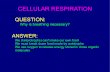 CELLULAR RESPIRATION · 2018. 11. 30. · CELLULAR RESPIRATION Some helpful hints: – when you think of electrons, think of hydrogen – electrons start out with food, end up with