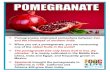 History/Origin Iran and the Himalayas of northern India ... · History/Origin Pomegranates originated somewhere between Iran and the Himalayas of northern India. When you eat a pomegranate,