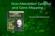 Non-Mendelian Genetics and Gene Mapping...•XhXh or XhY= hemophilia. •Gender specific heterozygocity. Free PowerPoint Backgrounds Ex: Red/Green Colorblindness. Free PowerPoint Backgrounds