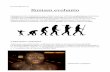 Ihmisen evoluutio lotta 9a - OBi! · 2012. 5. 21. · Homo Ergasterin fossiili ja malli, miltä se olisi näyttänyt. Ergastereilla oli myös isot aivot. Ne pystyivät mm. päättelemään