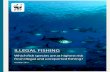 ILLEGAL FISHING - World Wildlife Fundassets.worldwildlife.org/.../files/...Risk_from_IUU_Fishing_WWF_FINA… · Illegal Fishing,” which estimates illegal and unreported fishing