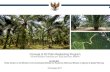 Concept of Oil Palm Replanting Program · Peranan swasta dalam kelapa sawit jauh lebih dominan dibandingkan dengan komoditas lain, penyerapan TK pun setiap tahun ... peranan pihak